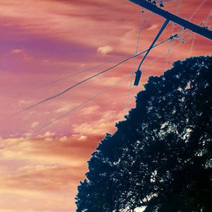 Meet your Posher, Imani